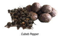 Cubeb Pepper Aphrodisiac