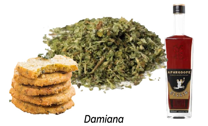 Damiana Aphrodisiac