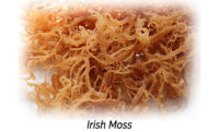 Irish Moss Aphrodisiac