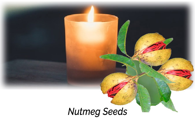 Nutmeg Seeds Aphrodisiac