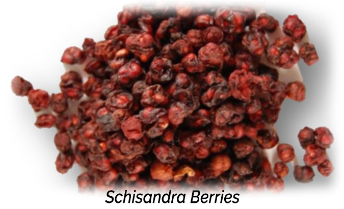 Schisandra Berries Aphrodisiac