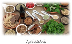 What are Aphrodisiacs and How they work?
